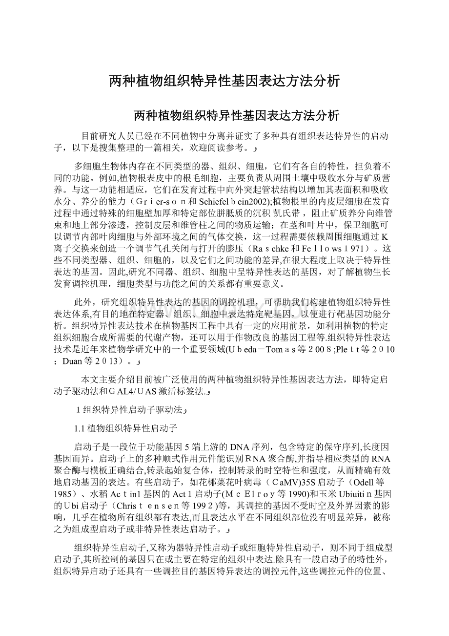 两种植物组织特异性基因表达方法分析Word文档下载推荐.docx_第1页