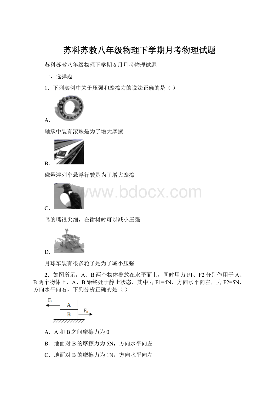 苏科苏教八年级物理下学期月考物理试题Word文件下载.docx