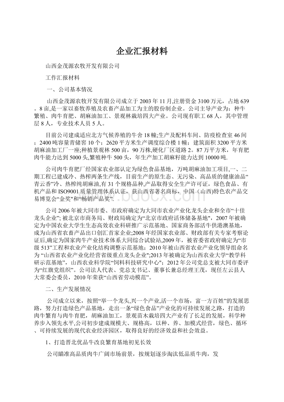 企业汇报材料Word格式文档下载.docx