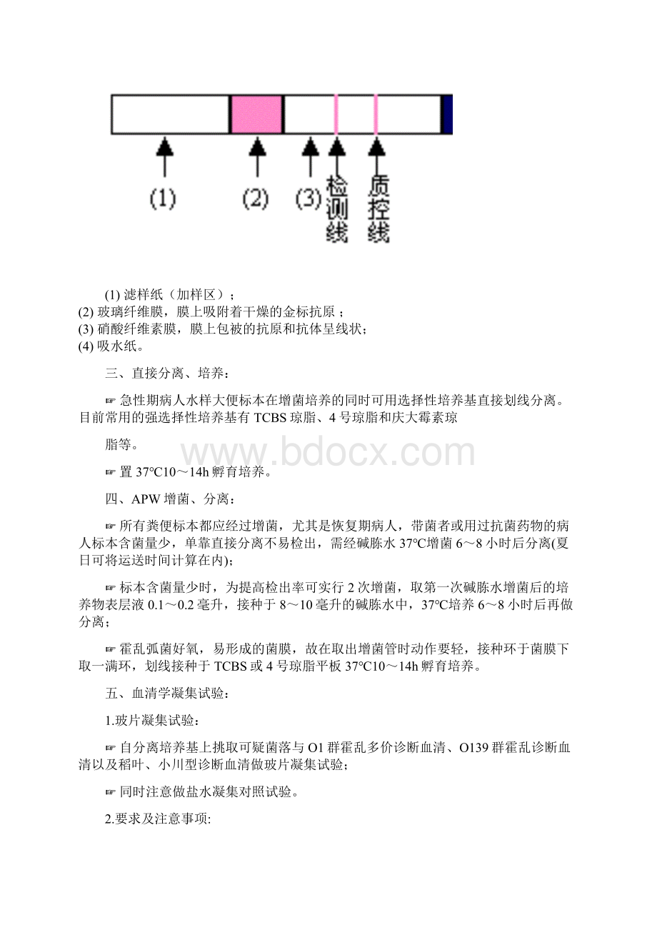 霍乱弧菌的分离与鉴定总结.docx_第3页