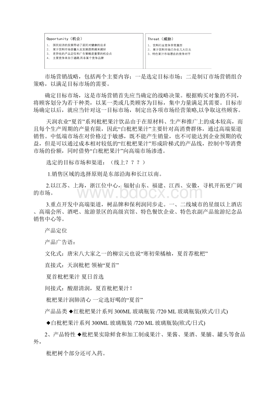 天润夏首枇杷汁中高端渠道营销推方案Word下载.docx_第3页