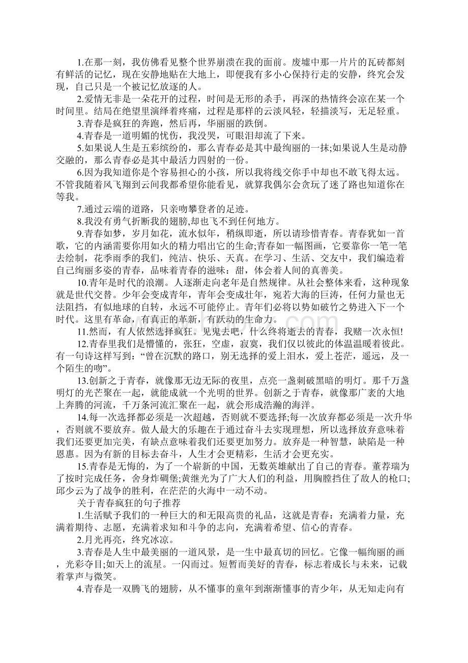 关于青春疯狂的句子精选文档格式.docx_第2页