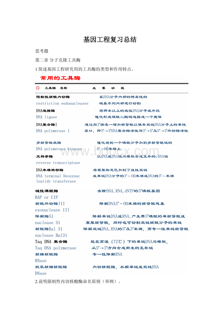 基因工程复习总结Word文档格式.docx_第1页