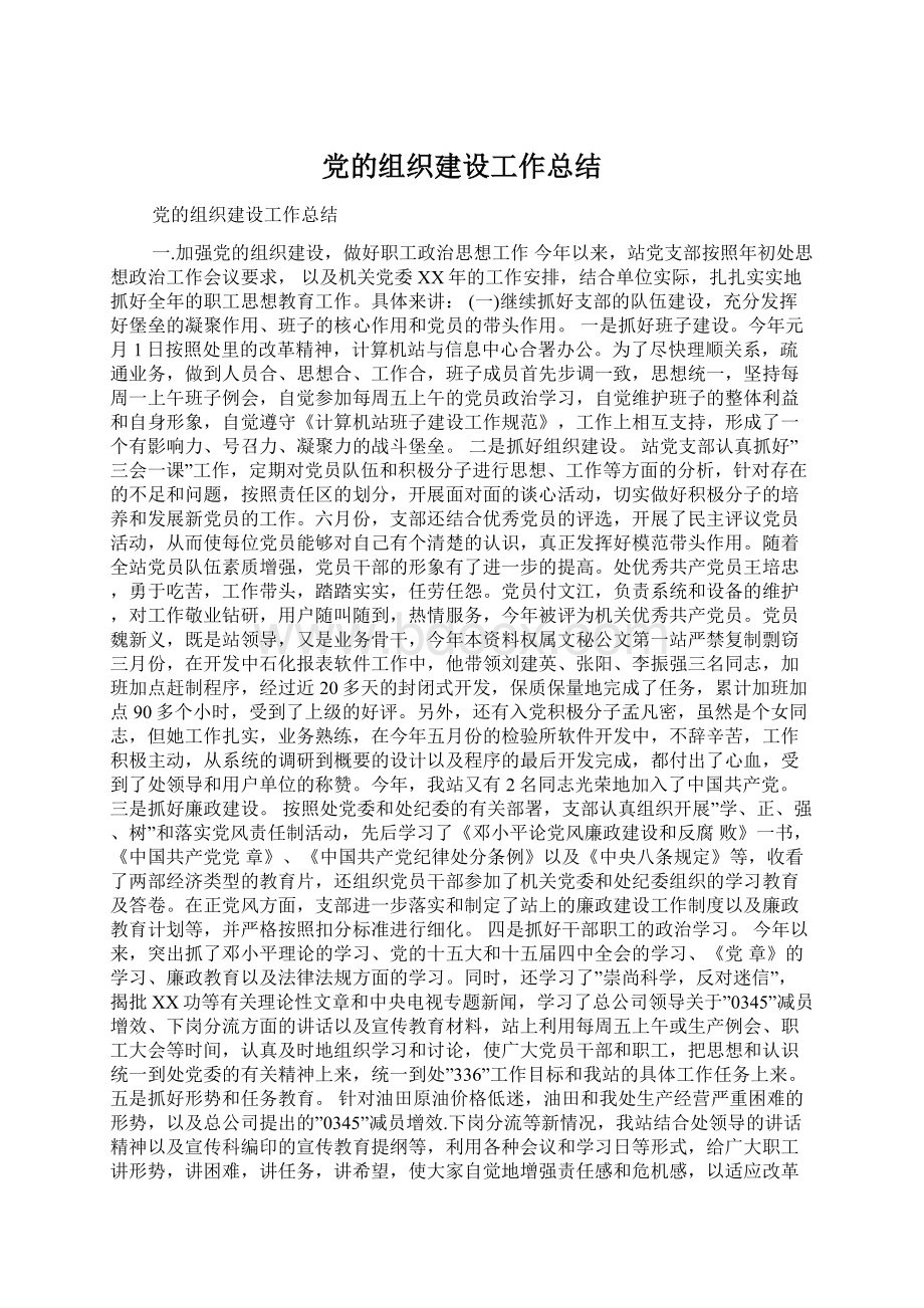 党的组织建设工作总结文档格式.docx