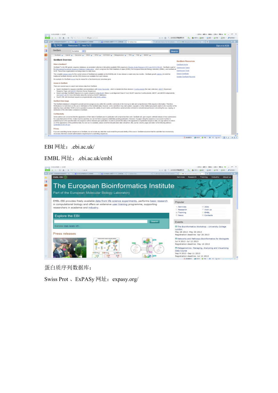 生物信息学实验报告Word格式文档下载.docx_第2页