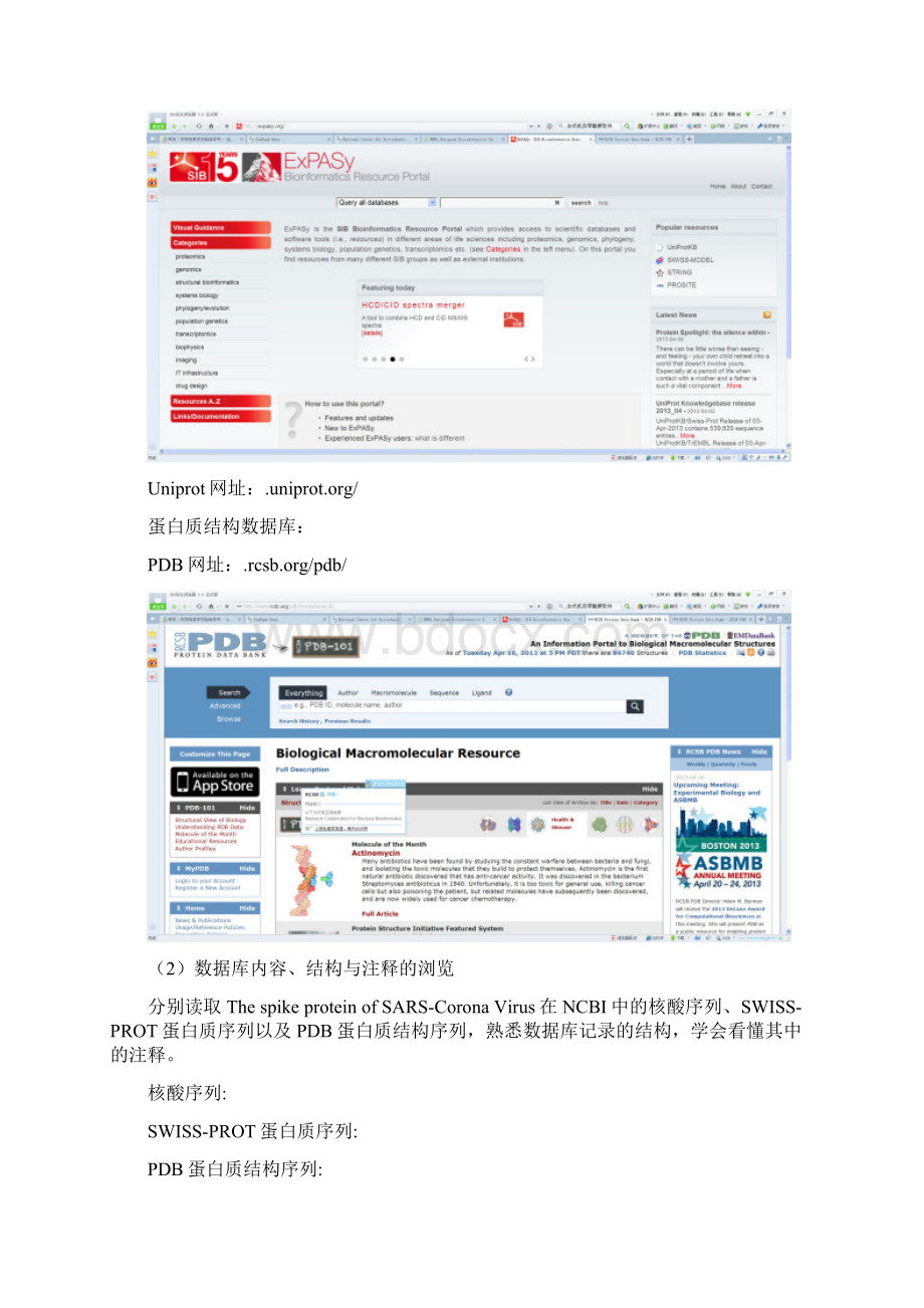 生物信息学实验报告.docx_第3页