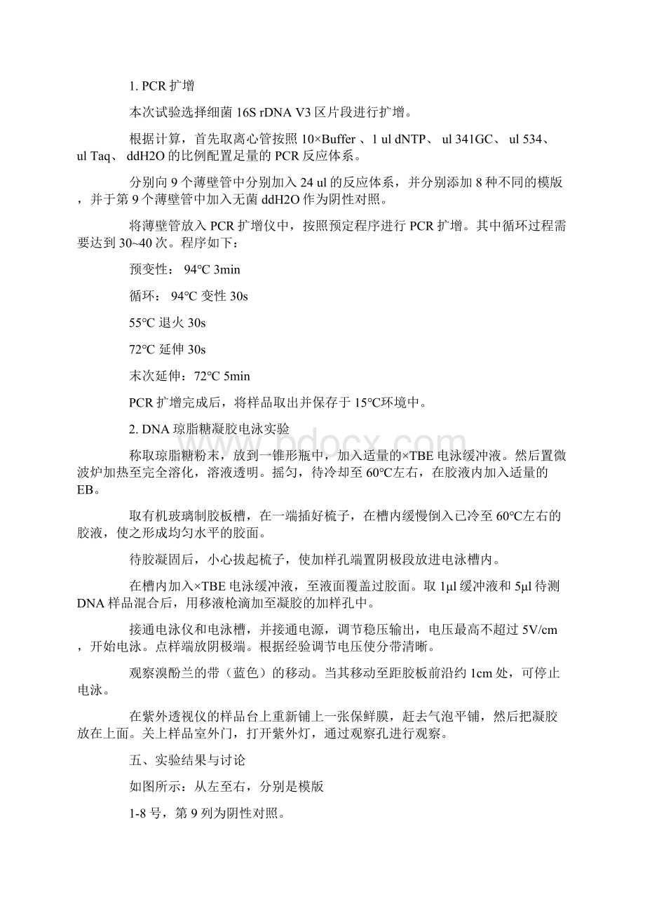 pcr扩增实验报告Word下载.docx_第2页