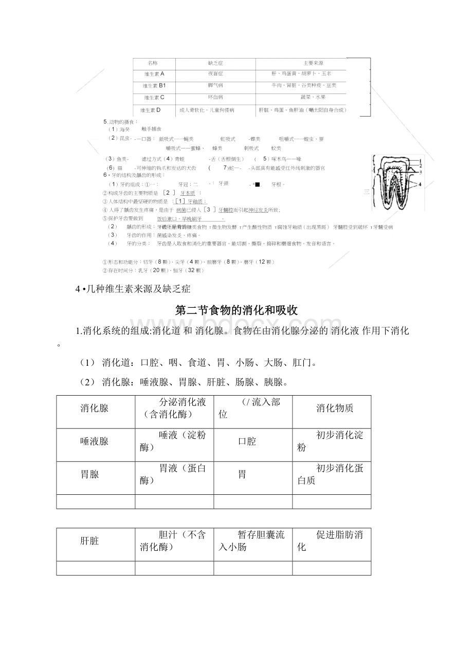 第四章代谢与平衡基础知识要点0321173917.docx_第2页