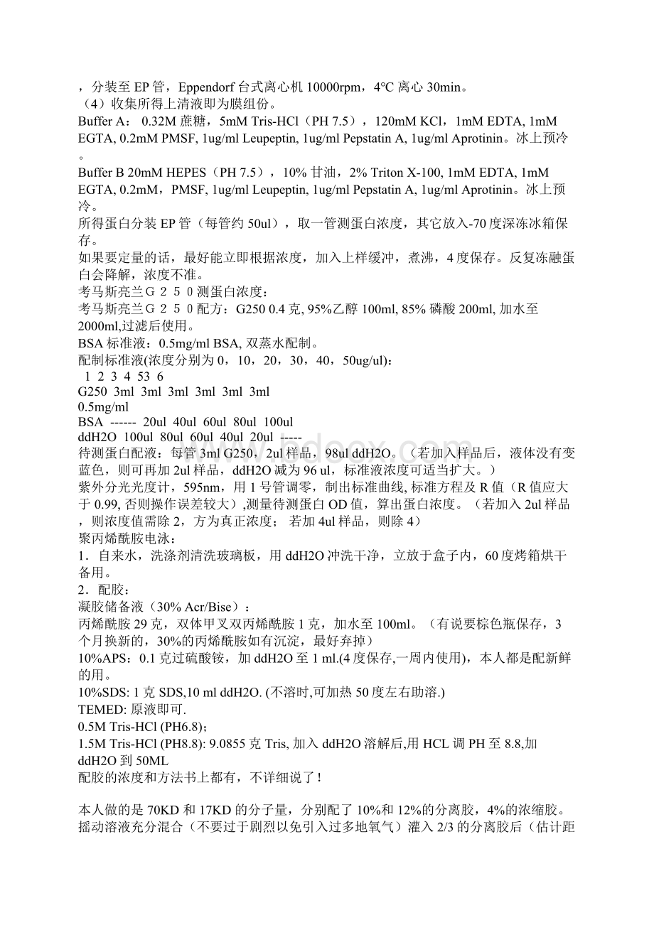 整理westernblot失败经验总结Word下载.docx_第2页