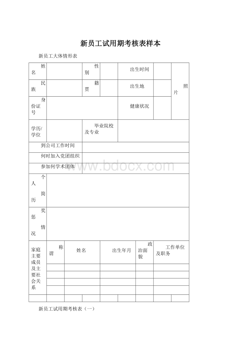 新员工试用期考核表样本Word格式.docx