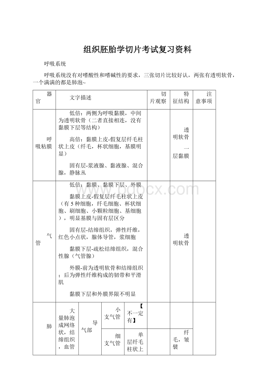 组织胚胎学切片考试复习资料Word文档格式.docx