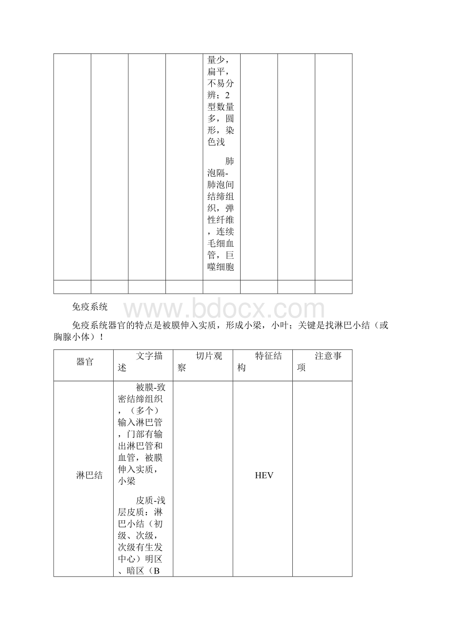 组织胚胎学切片考试复习资料.docx_第3页