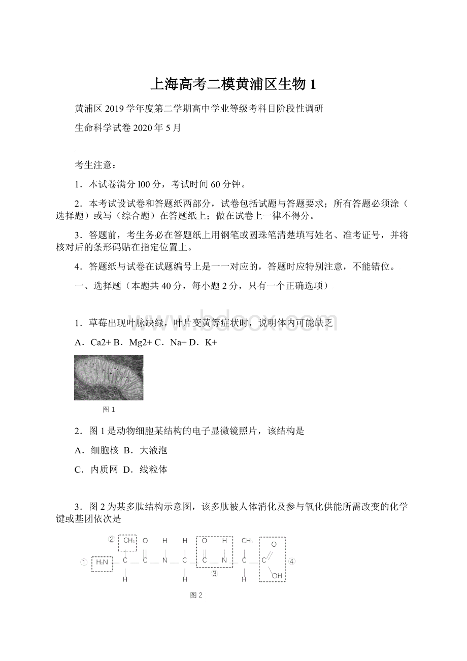 上海高考二模黄浦区生物 1.docx_第1页