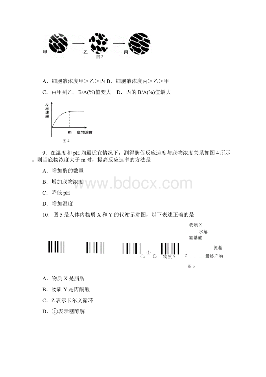 上海高考二模黄浦区生物 1.docx_第3页