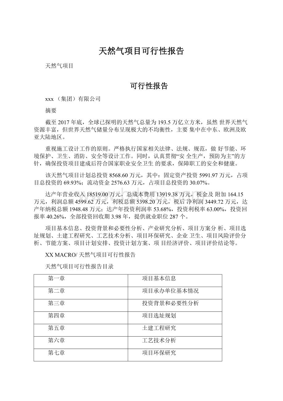 天然气项目可行性报告Word下载.docx