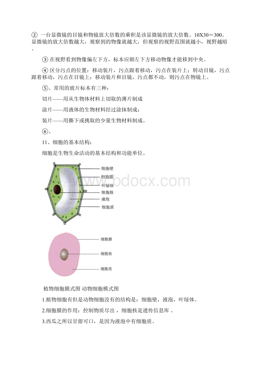 中考初中生物会考复习资料人教版Word文档下载推荐.docx_第3页