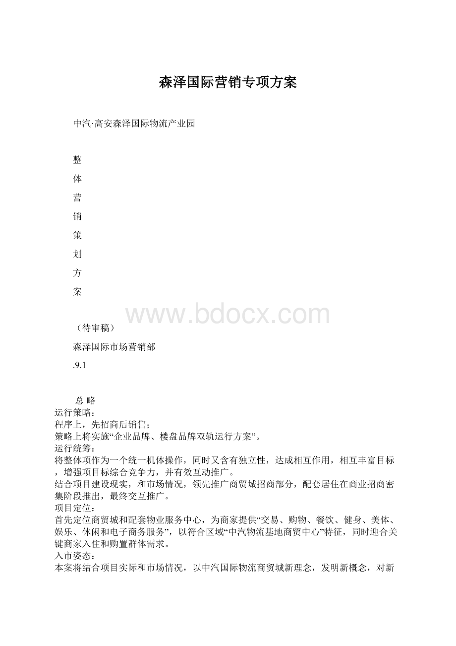 森泽国际营销专项方案.docx_第1页