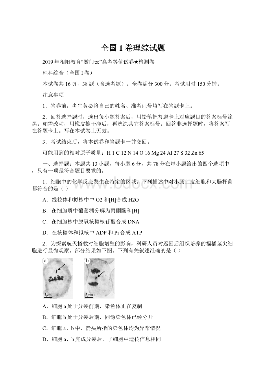 全国1卷理综试题.docx_第1页