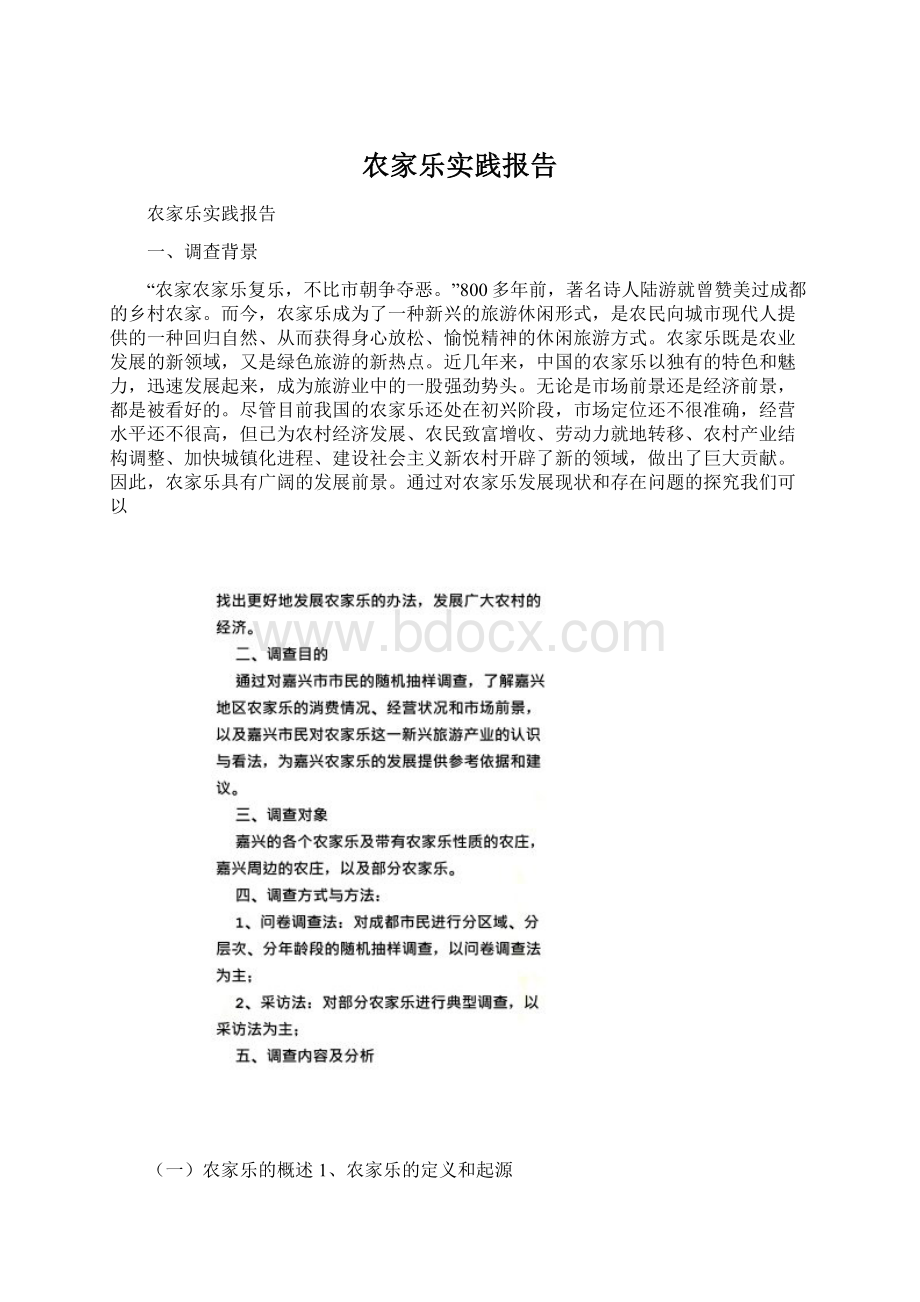 农家乐实践报告Word格式文档下载.docx