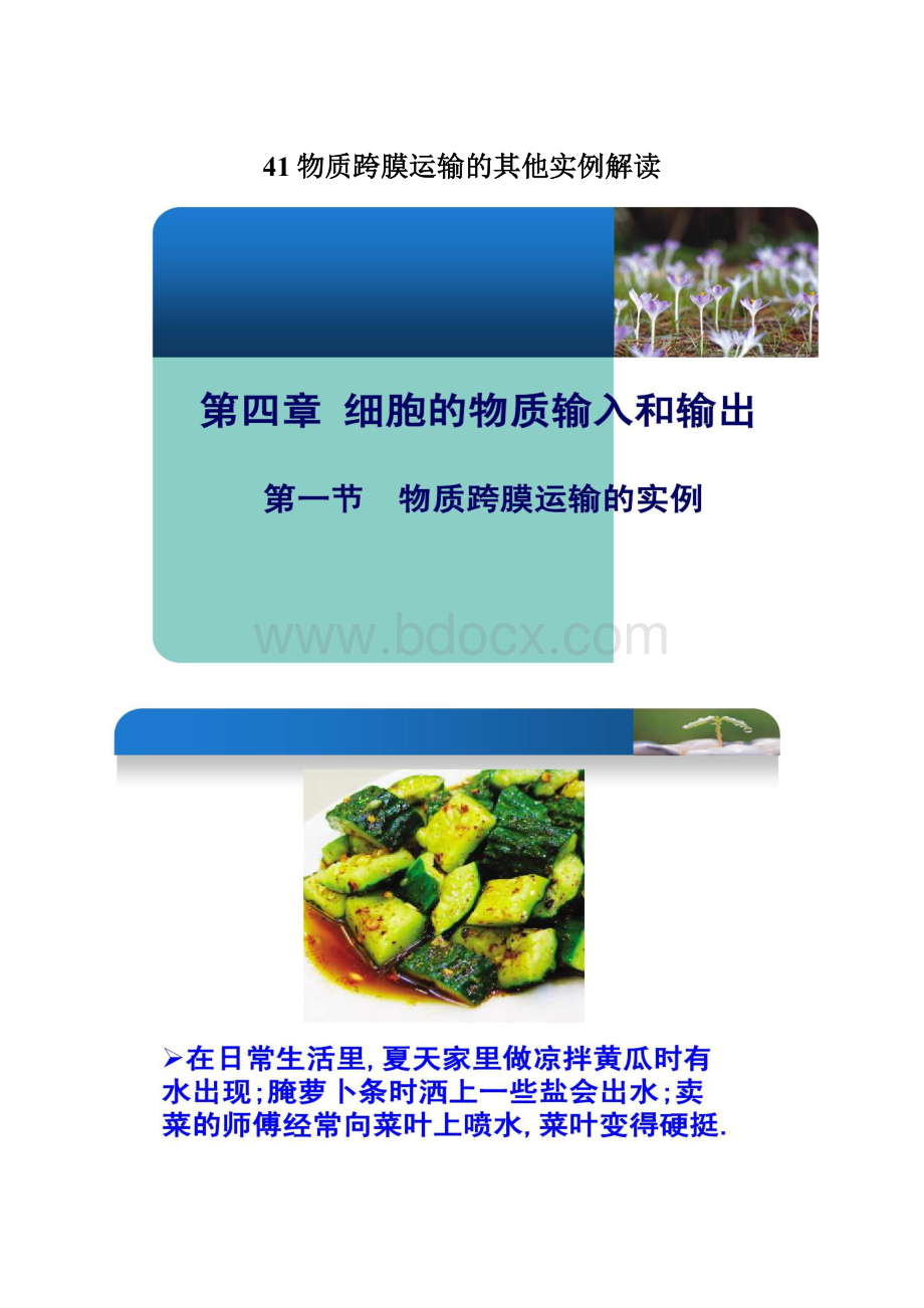 41物质跨膜运输的其他实例解读.docx_第1页