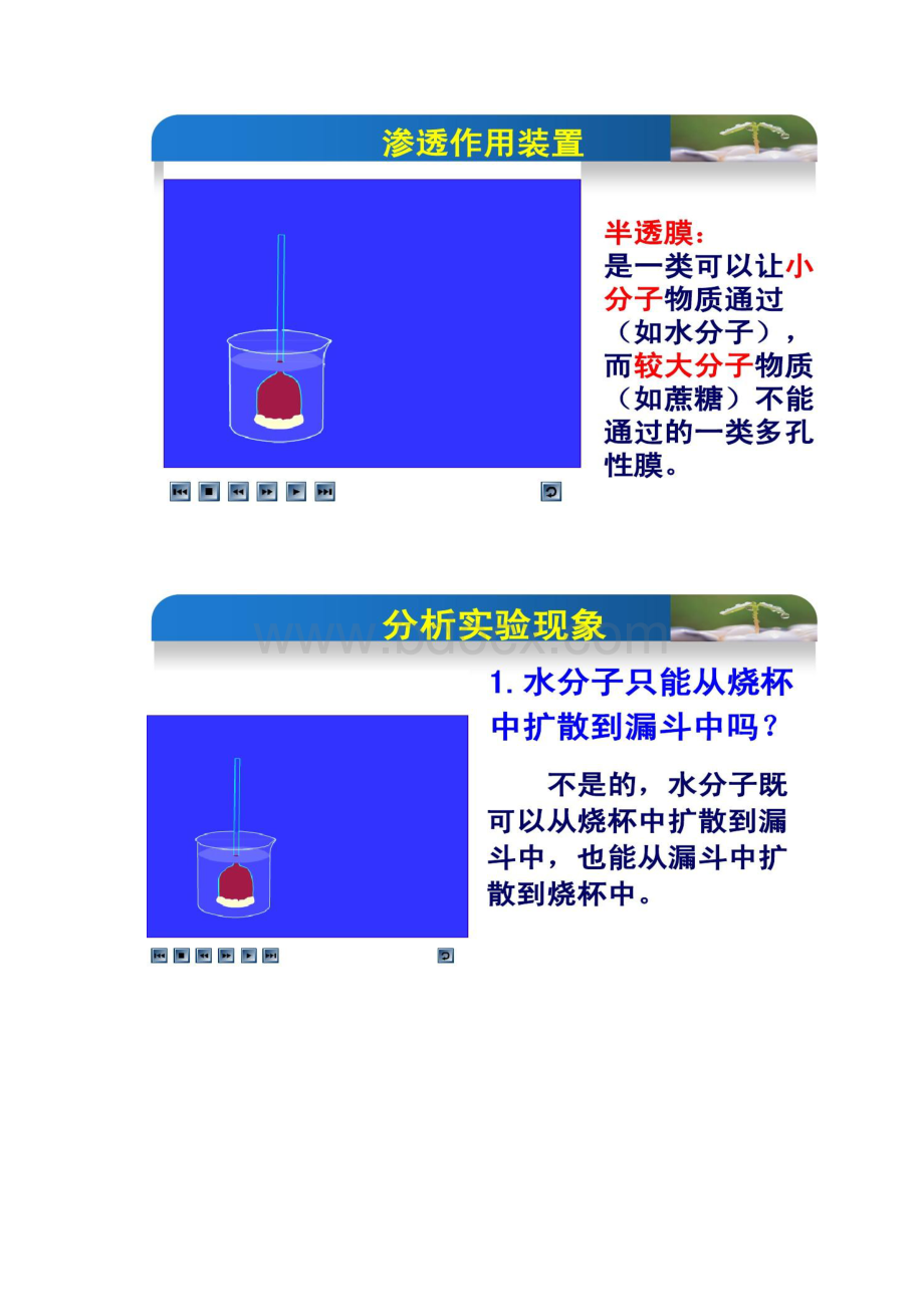 41物质跨膜运输的其他实例解读.docx_第2页