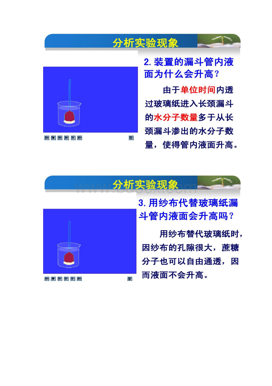 41物质跨膜运输的其他实例解读.docx_第3页