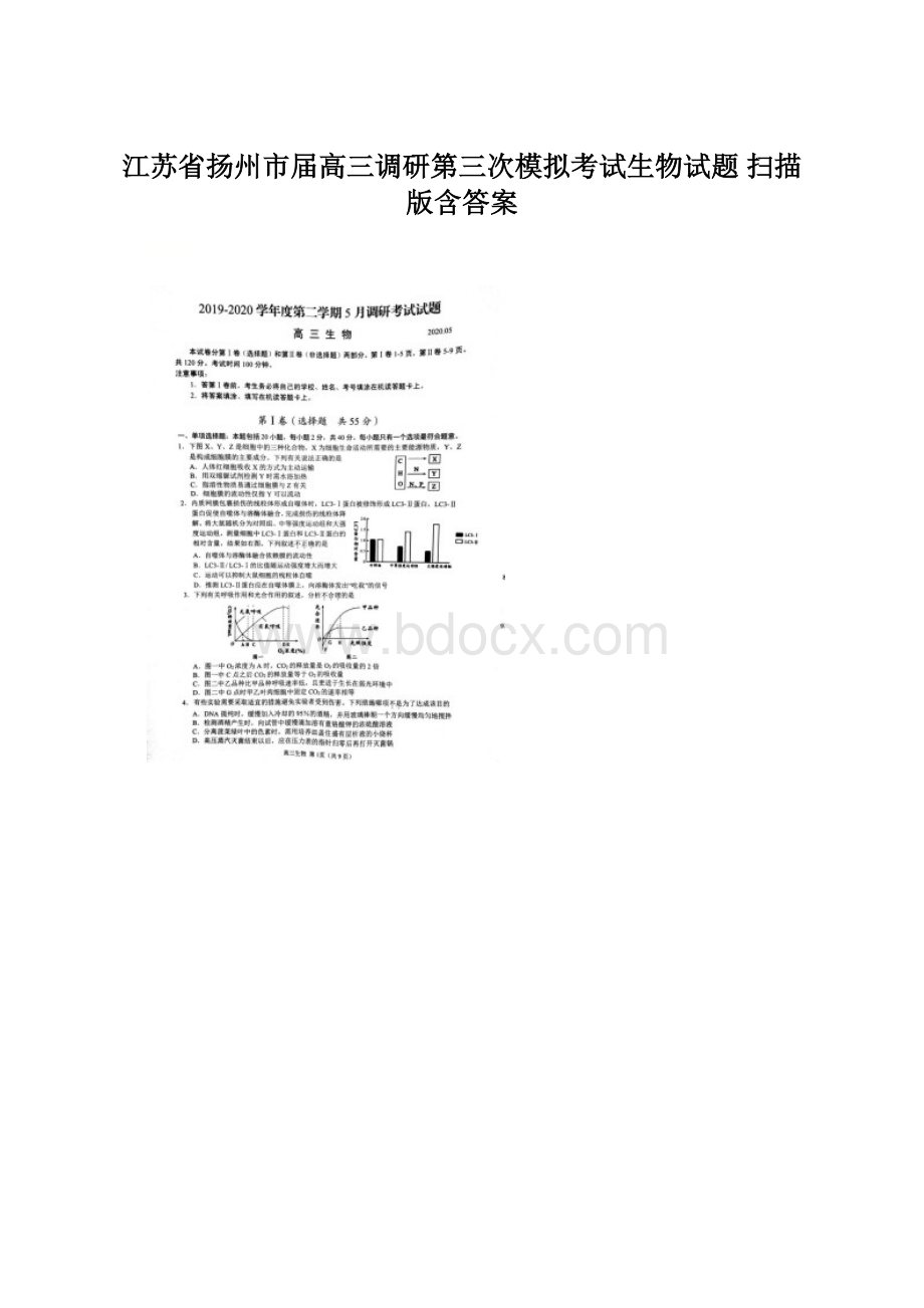 江苏省扬州市届高三调研第三次模拟考试生物试题 扫描版含答案Word格式文档下载.docx