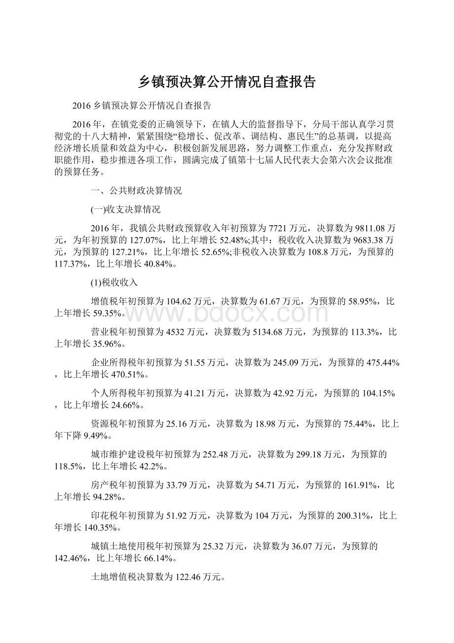 乡镇预决算公开情况自查报告Word文档格式.docx_第1页