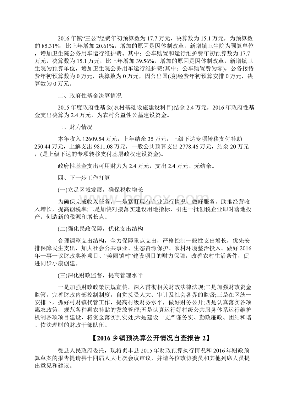 乡镇预决算公开情况自查报告Word文档格式.docx_第3页