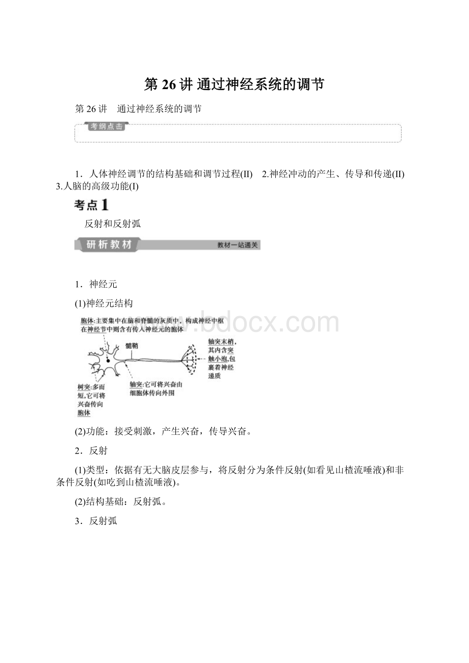 第26讲 通过神经系统的调节.docx