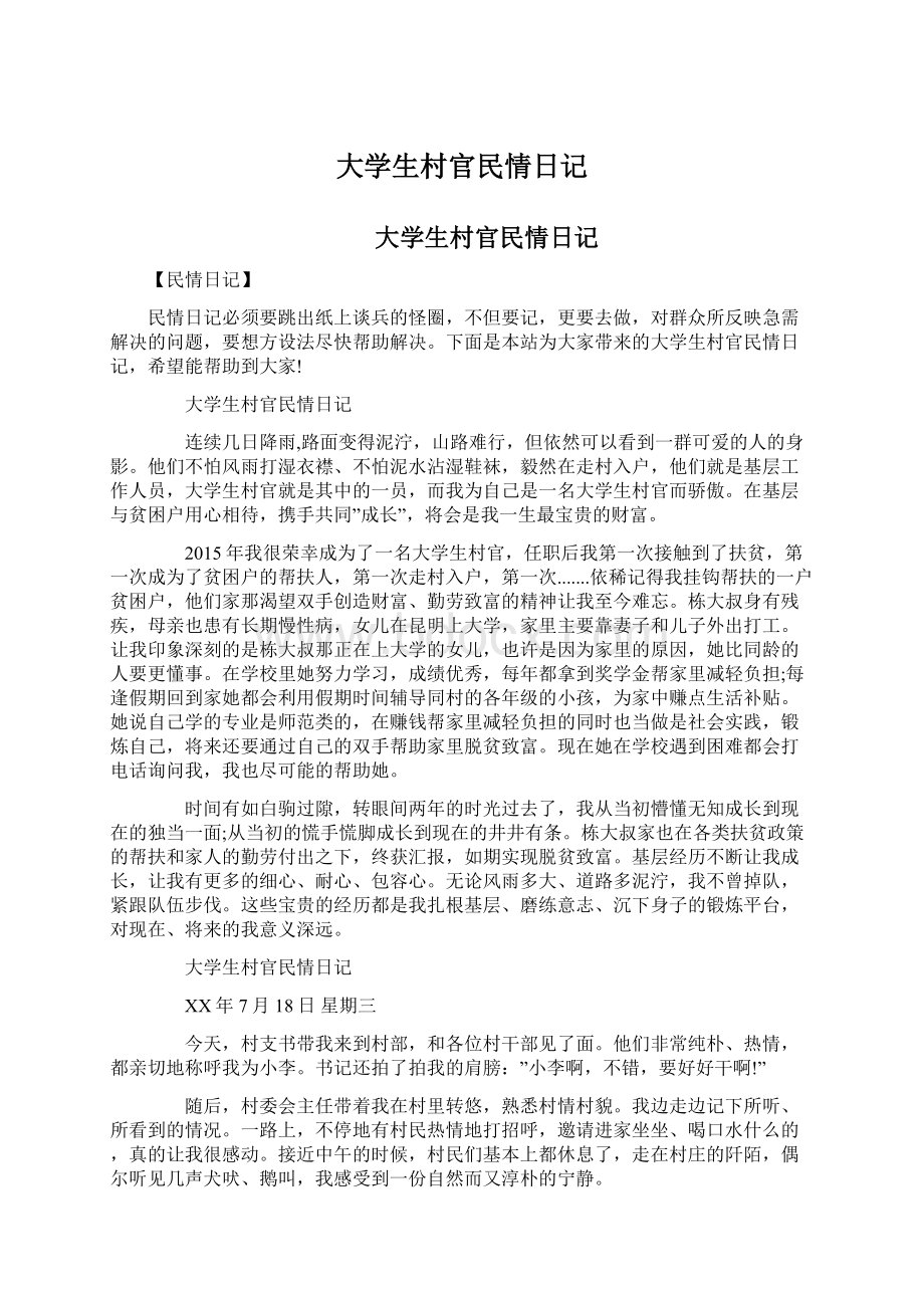 大学生村官民情日记Word文档格式.docx