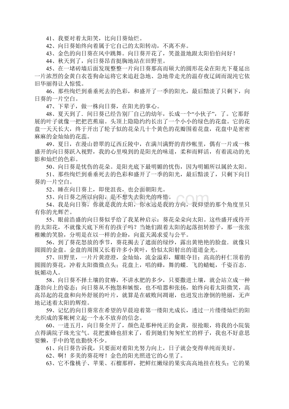 关于向日葵的唯美句子Word文件下载.docx_第3页