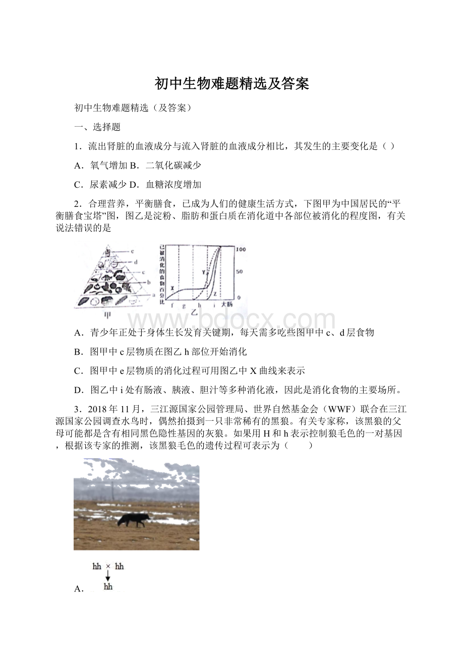 初中生物难题精选及答案.docx_第1页