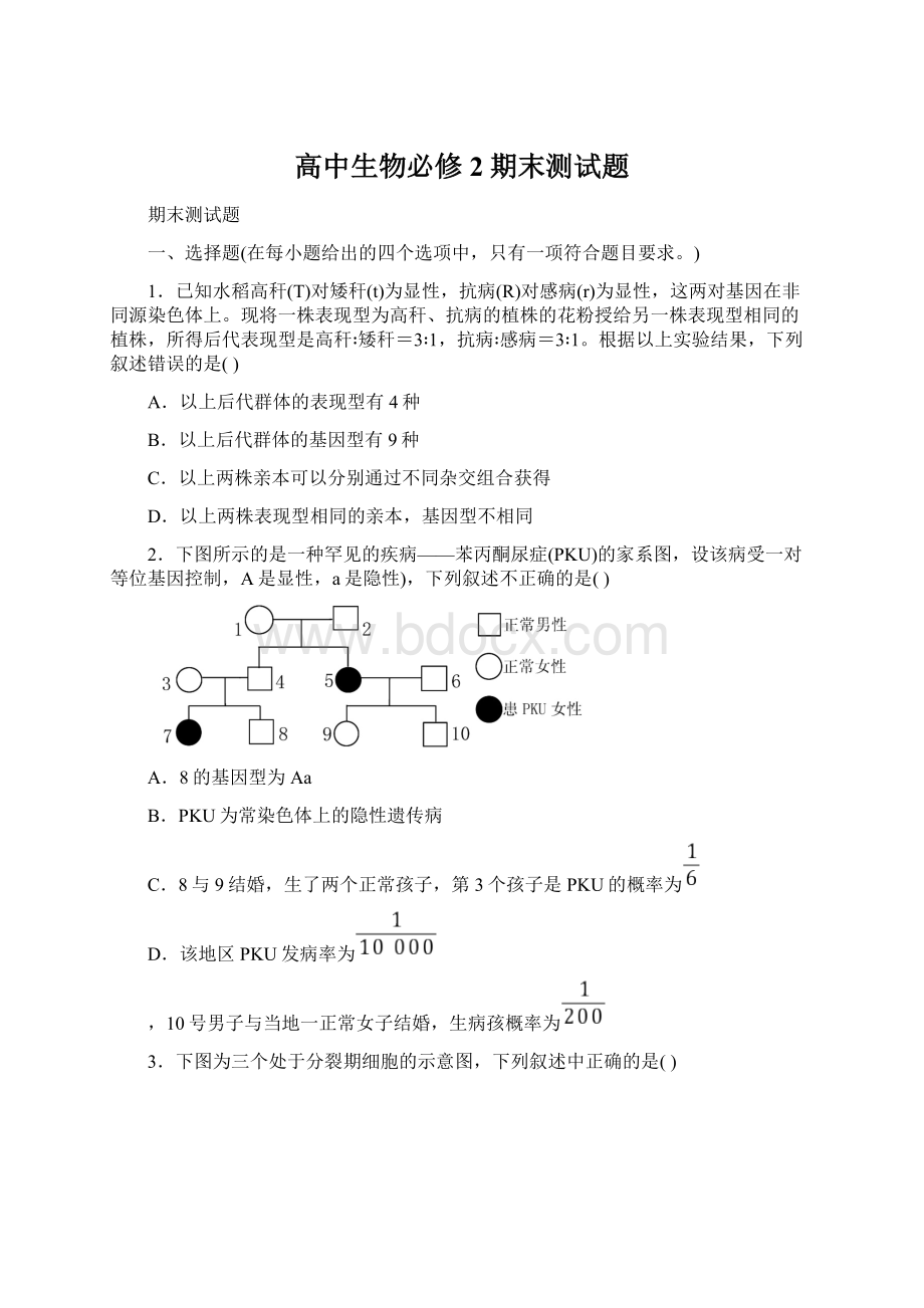 高中生物必修2期末测试题Word文档下载推荐.docx