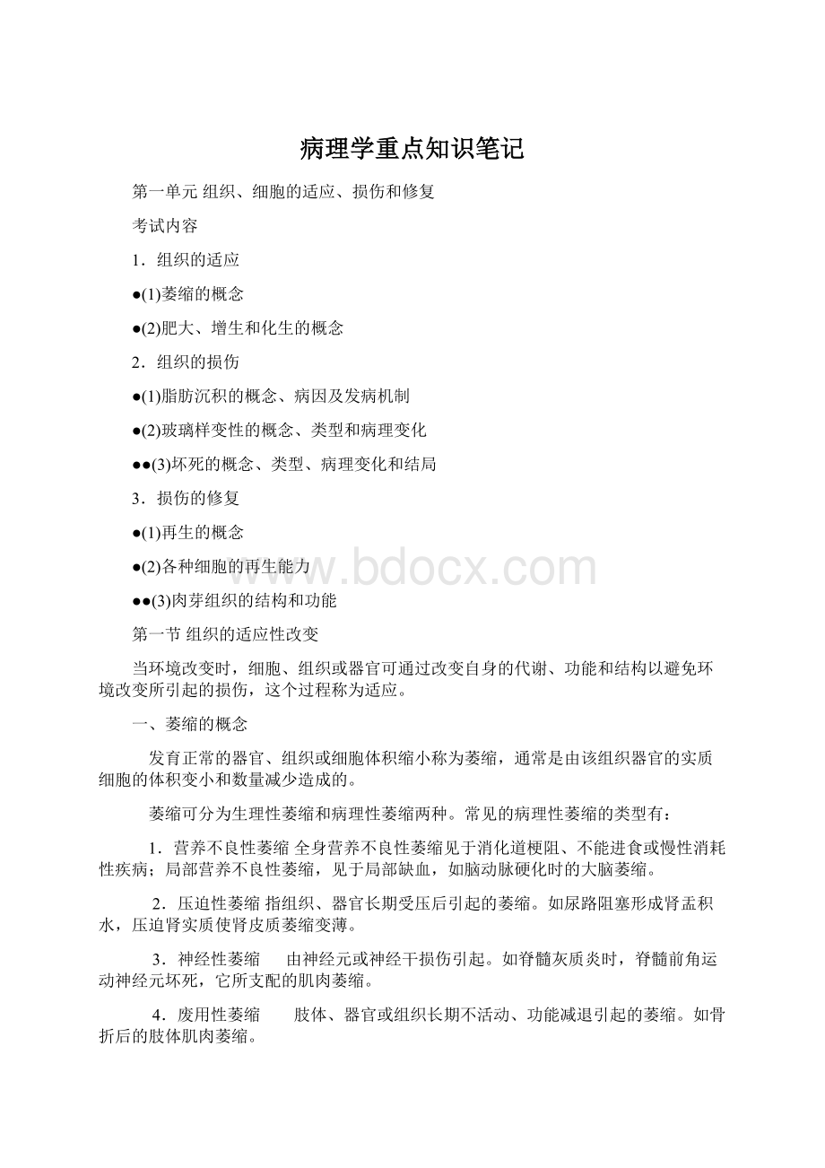 病理学重点知识笔记Word文档下载推荐.docx