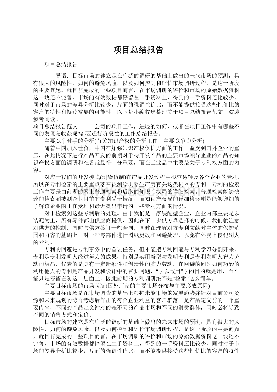 项目总结报告.docx_第1页