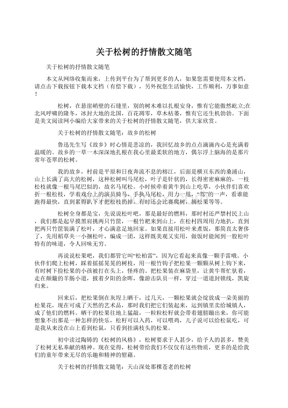 关于松树的抒情散文随笔Word下载.docx