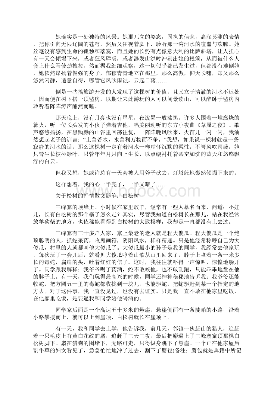 关于松树的抒情散文随笔Word下载.docx_第3页