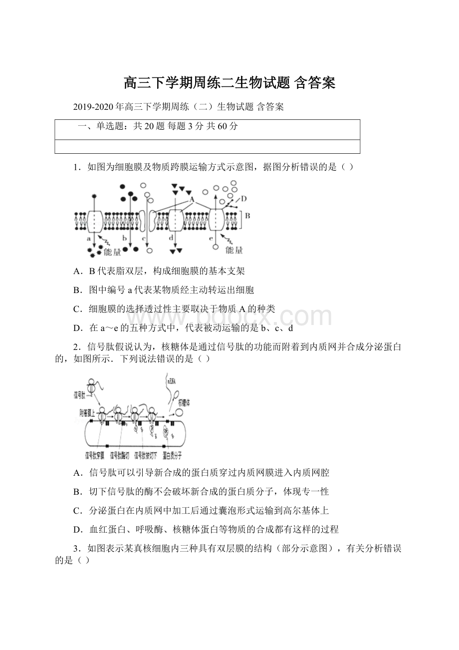 高三下学期周练二生物试题 含答案.docx