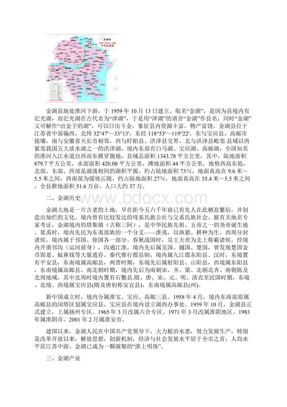 专业市场+金湖建材专业市场营销策划方案.docx_第2页