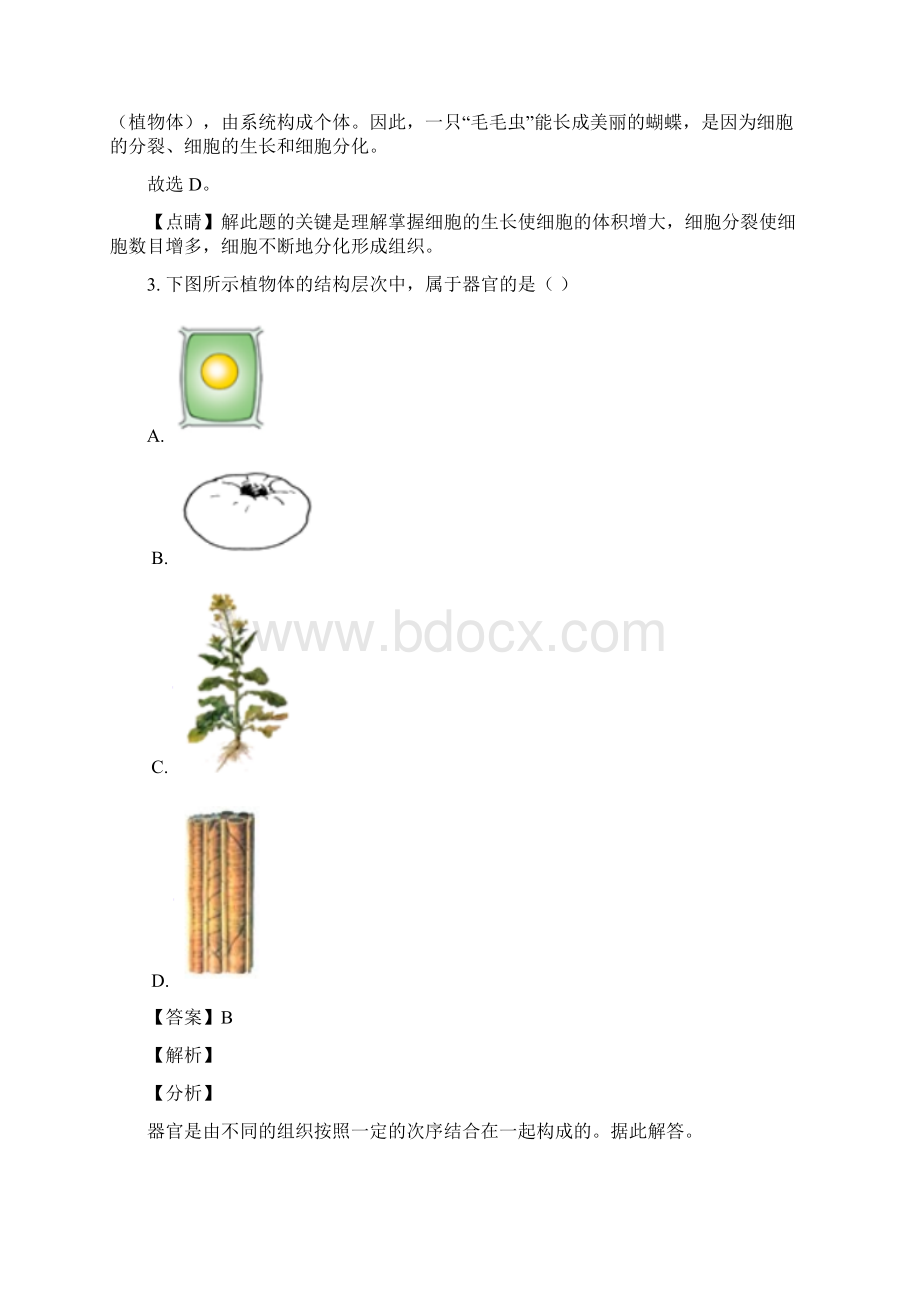 陕西省中考生物试题解析版.docx_第2页