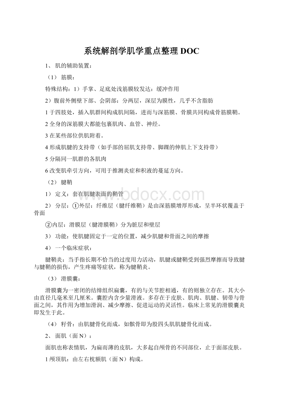 系统解剖学肌学重点整理DOC.docx