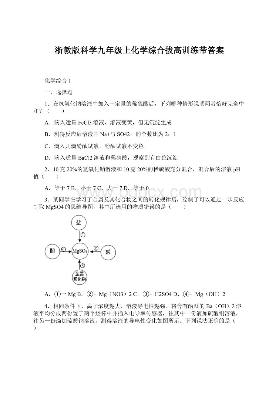 浙教版科学九年级上化学综合拔高训练带答案.docx_第1页