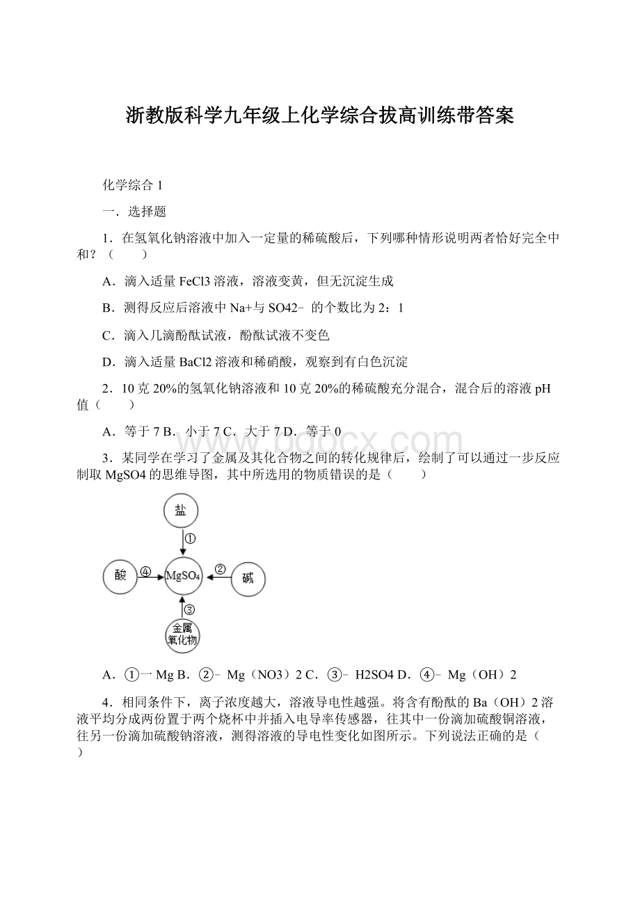 浙教版科学九年级上化学综合拔高训练带答案Word文件下载.docx_第1页