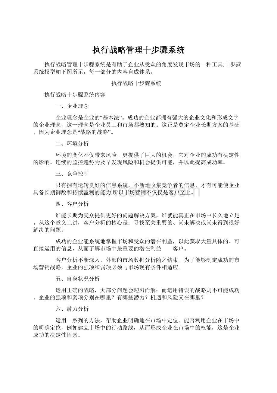 执行战略管理十步骤系统Word格式.docx