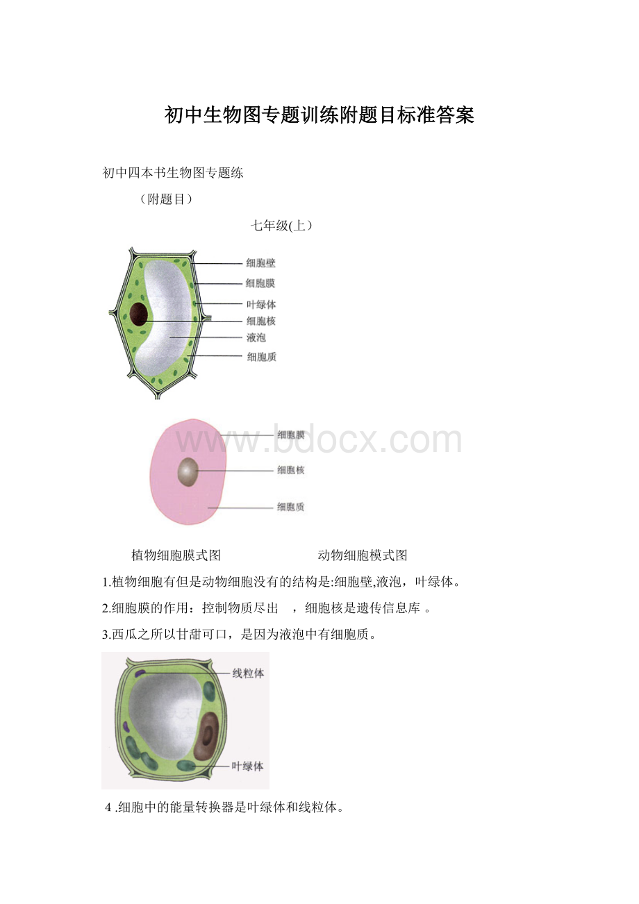 初中生物图专题训练附题目标准答案Word格式文档下载.docx_第1页