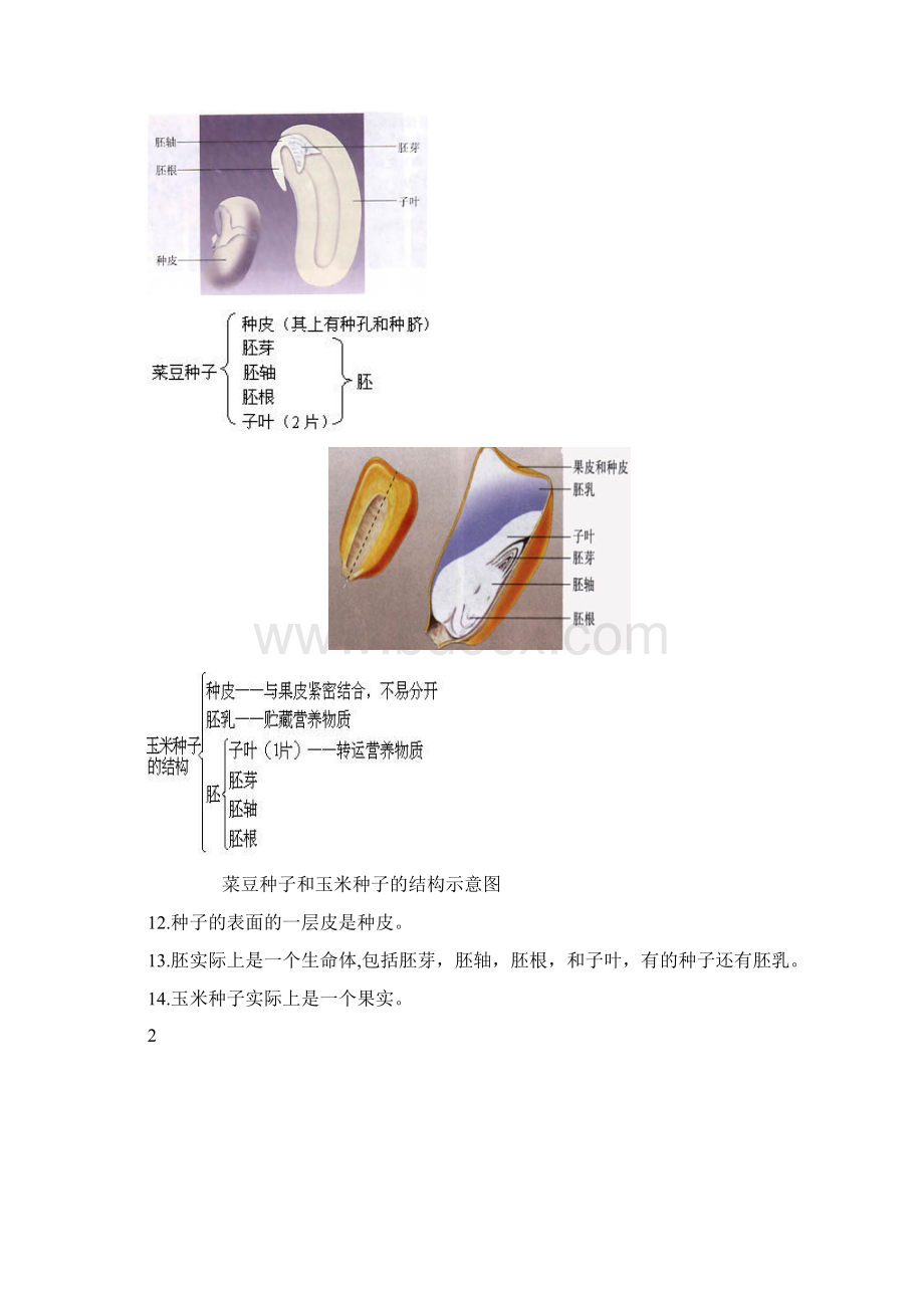 初中生物图专题训练附题目标准答案Word格式文档下载.docx_第3页