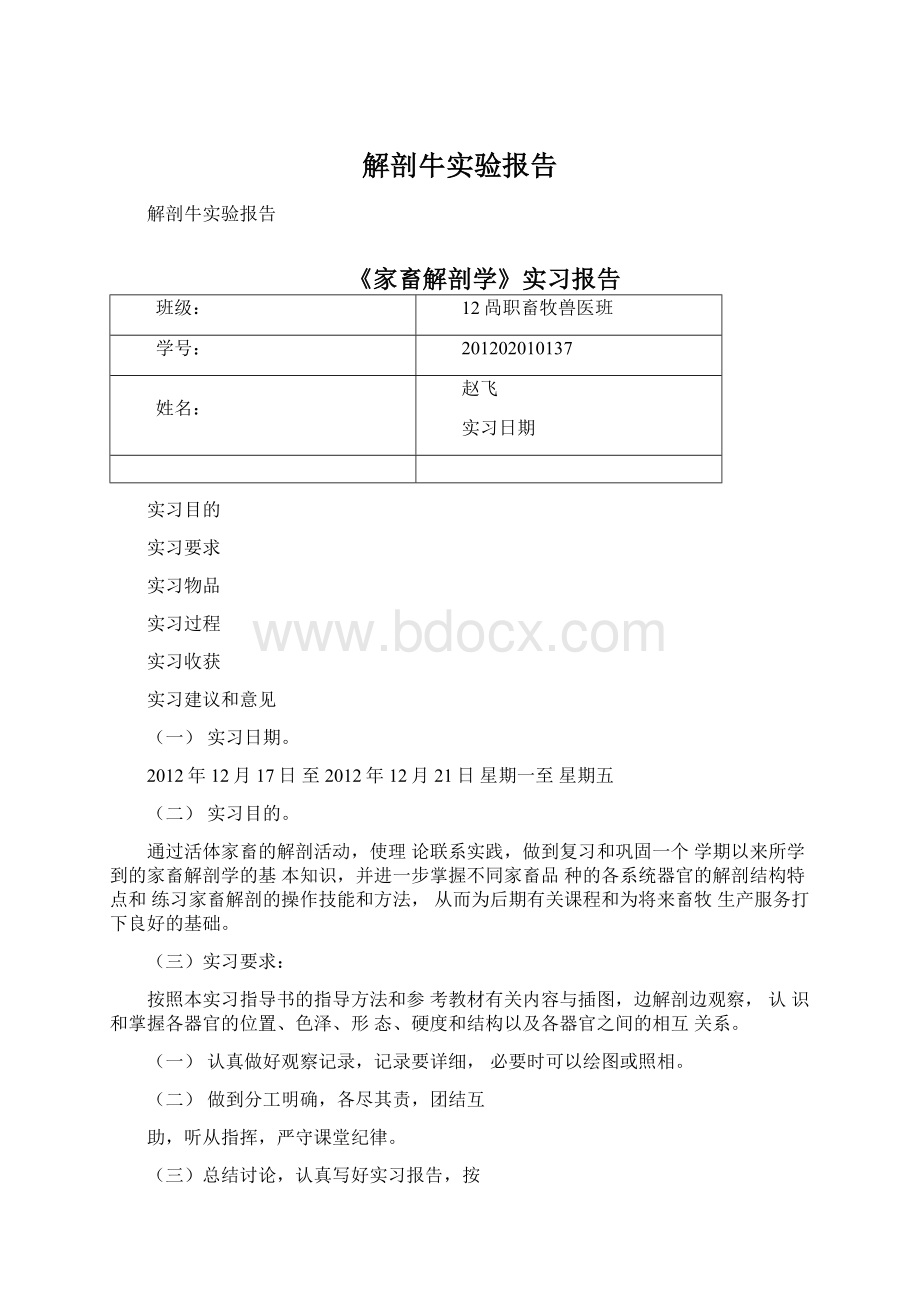 解剖牛实验报告.docx_第1页