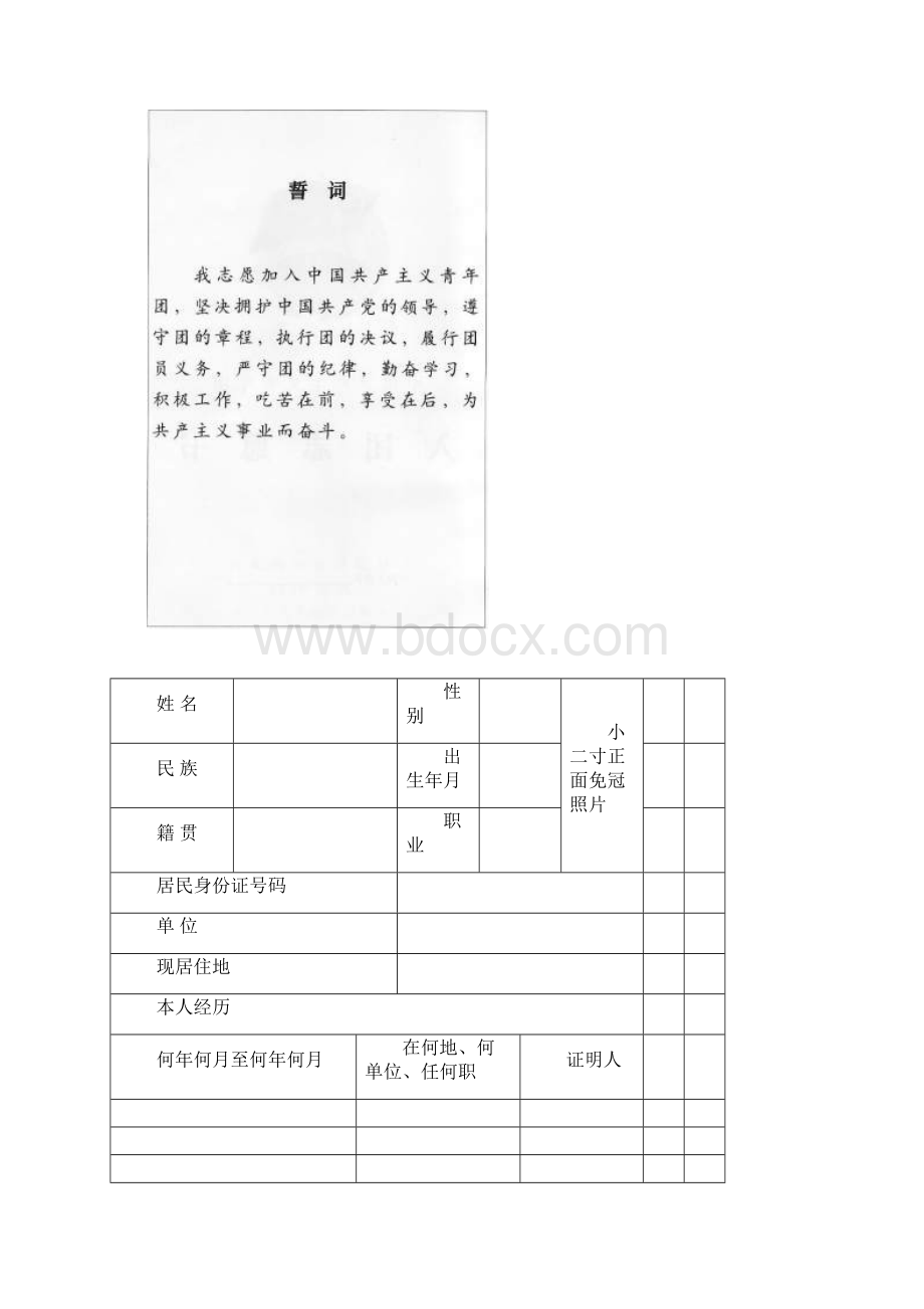 新入团志愿书模板Word下载.docx_第2页