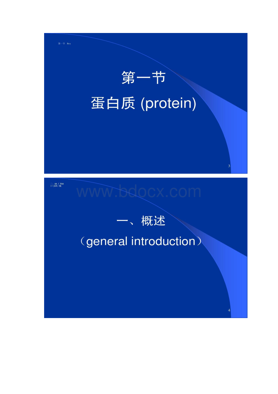 食品营养与卫生 蛋白质脂类文档格式.docx_第2页